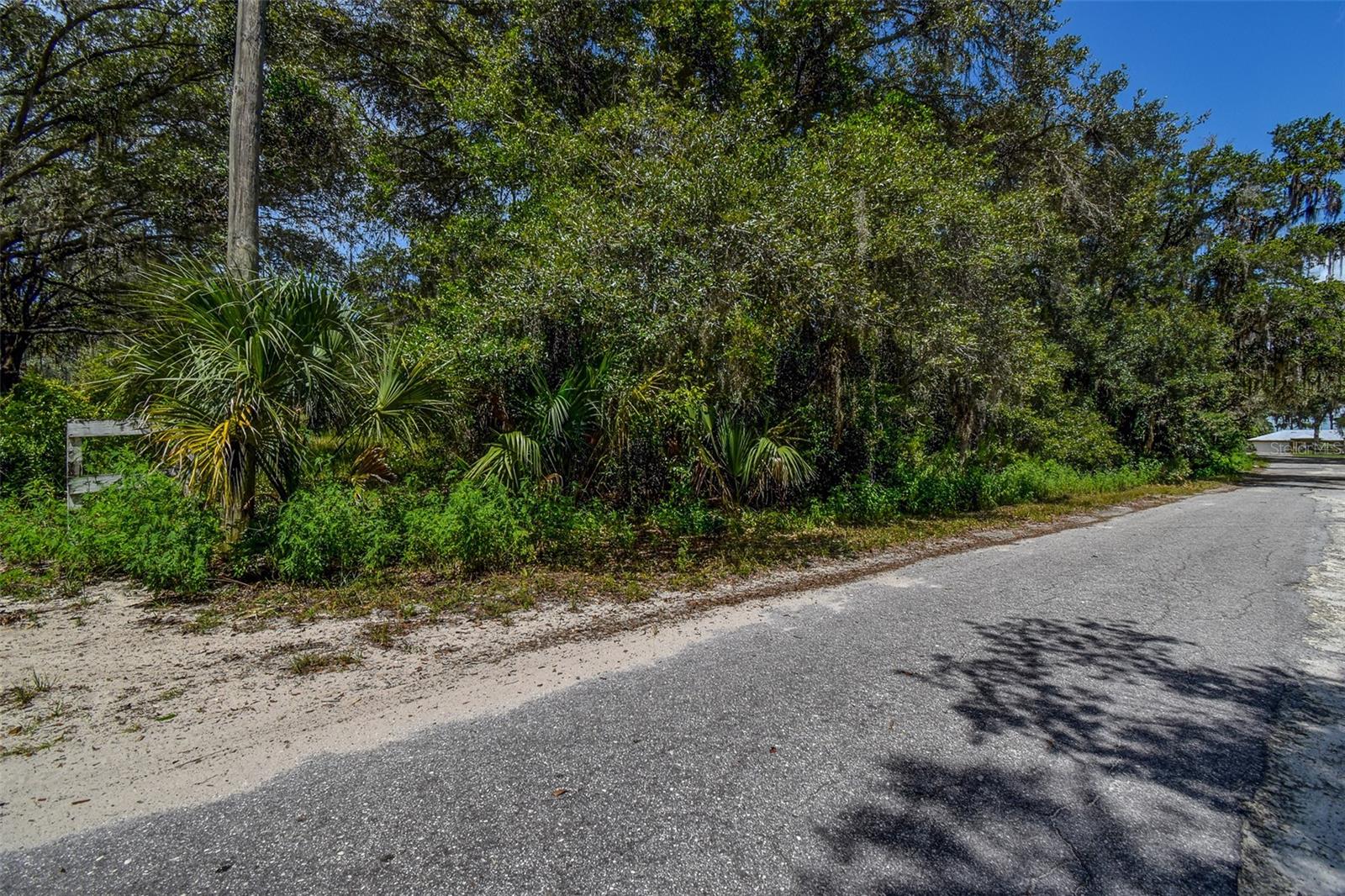 BASS LAKE UNREC SUB - Land