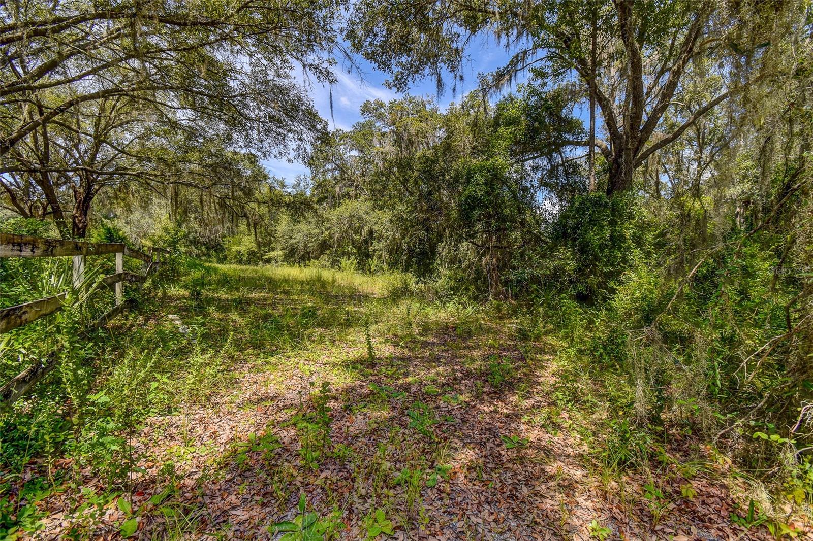 BASS LAKE UNREC SUB - Land