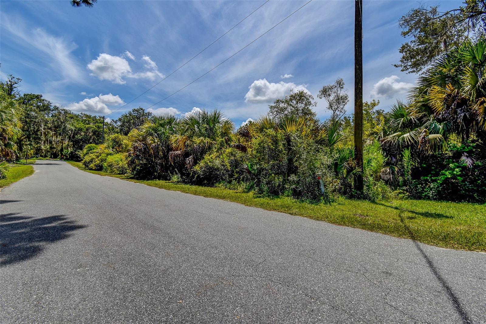 BASS LAKE UNREC SUB - Land
