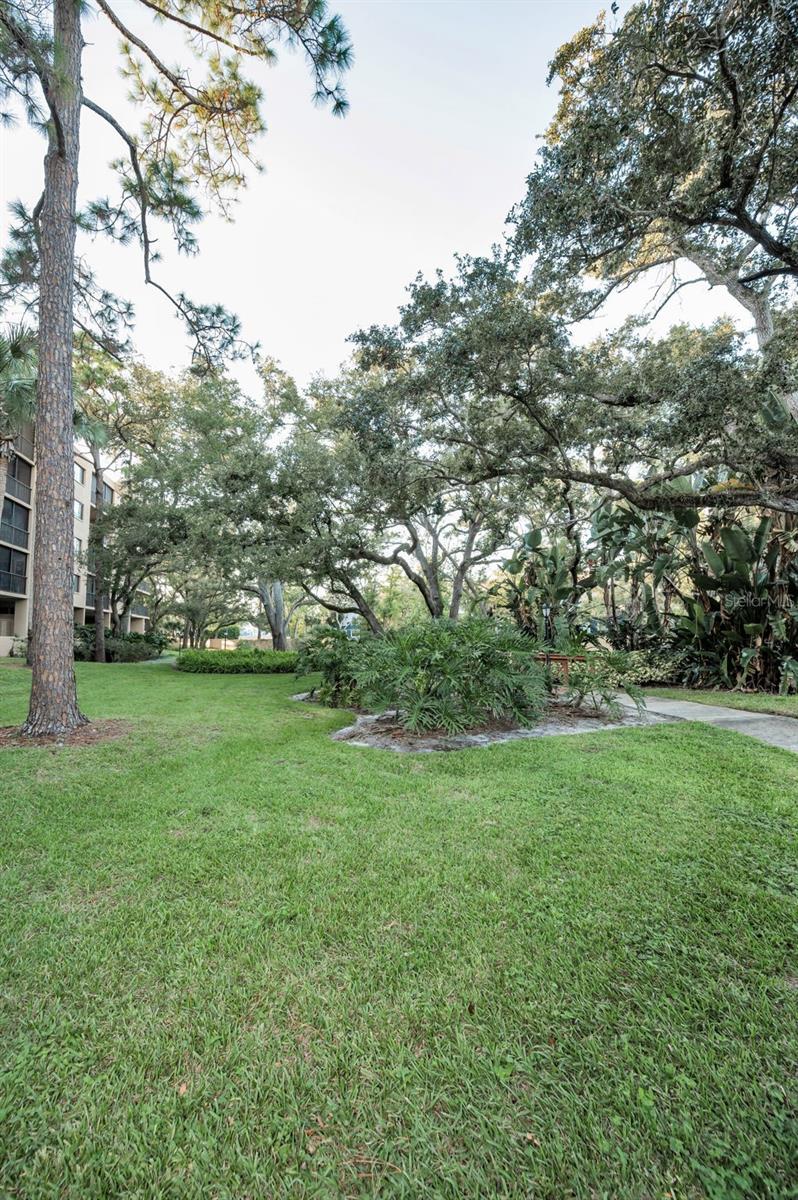 IMPERIAL PINES CONDO - Residential