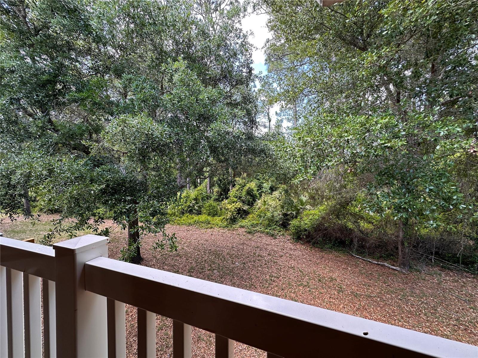 M/PALM POINTE 1 - Residential Lease