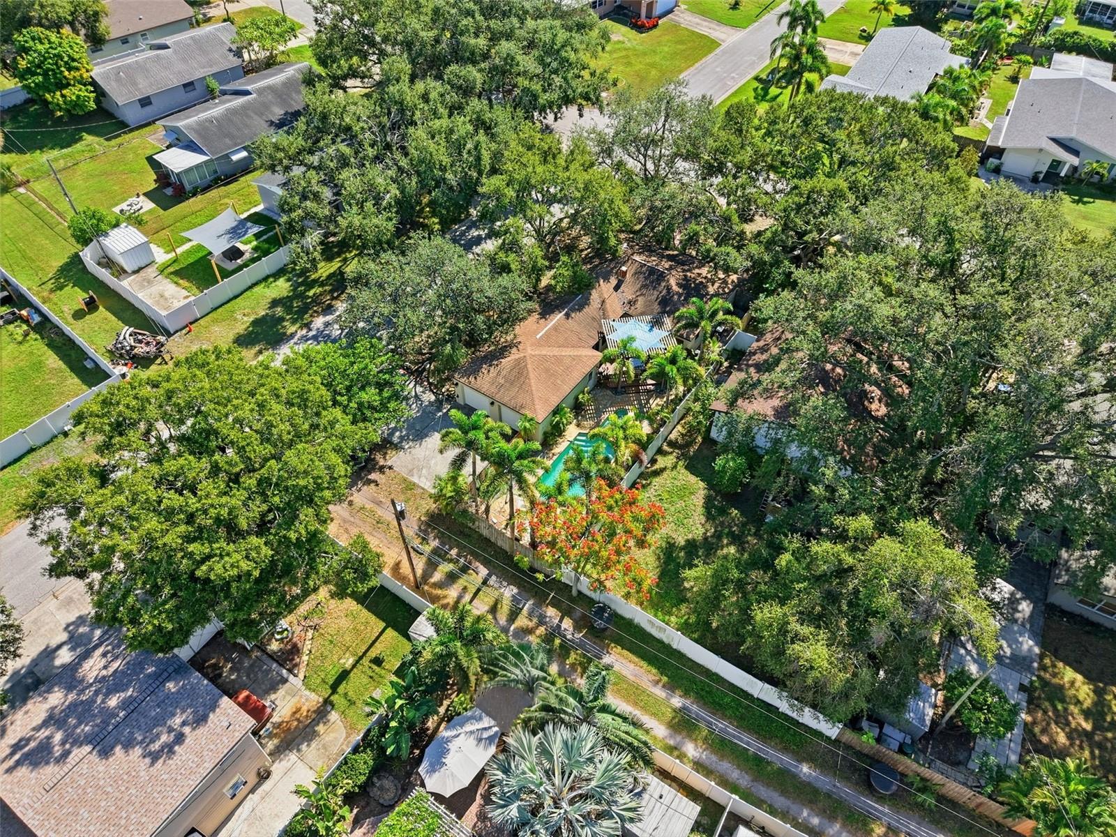 NORTH ST PETERSBURG - Residential