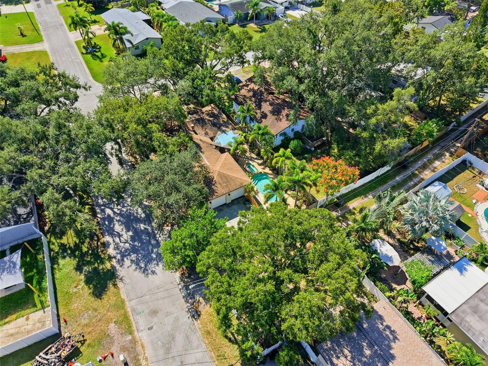 NORTH ST PETERSBURG - Residential