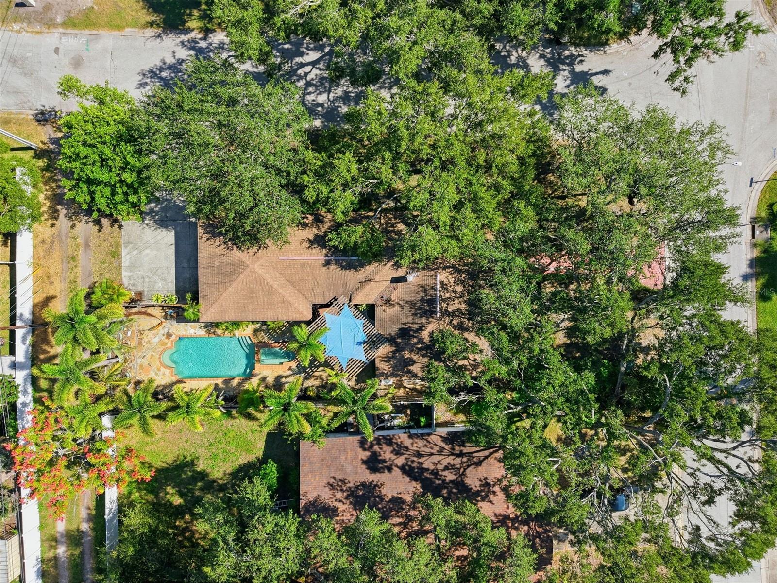 NORTH ST PETERSBURG - Residential