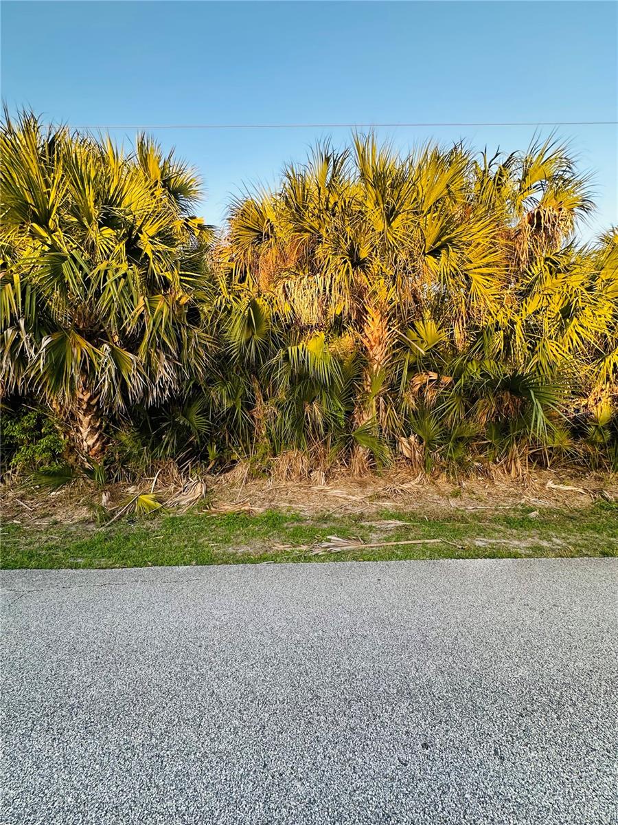 60 CORAL REEF COURT N