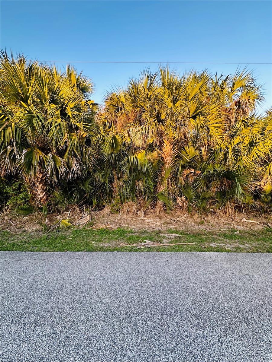 60 CORAL REEF COURT N