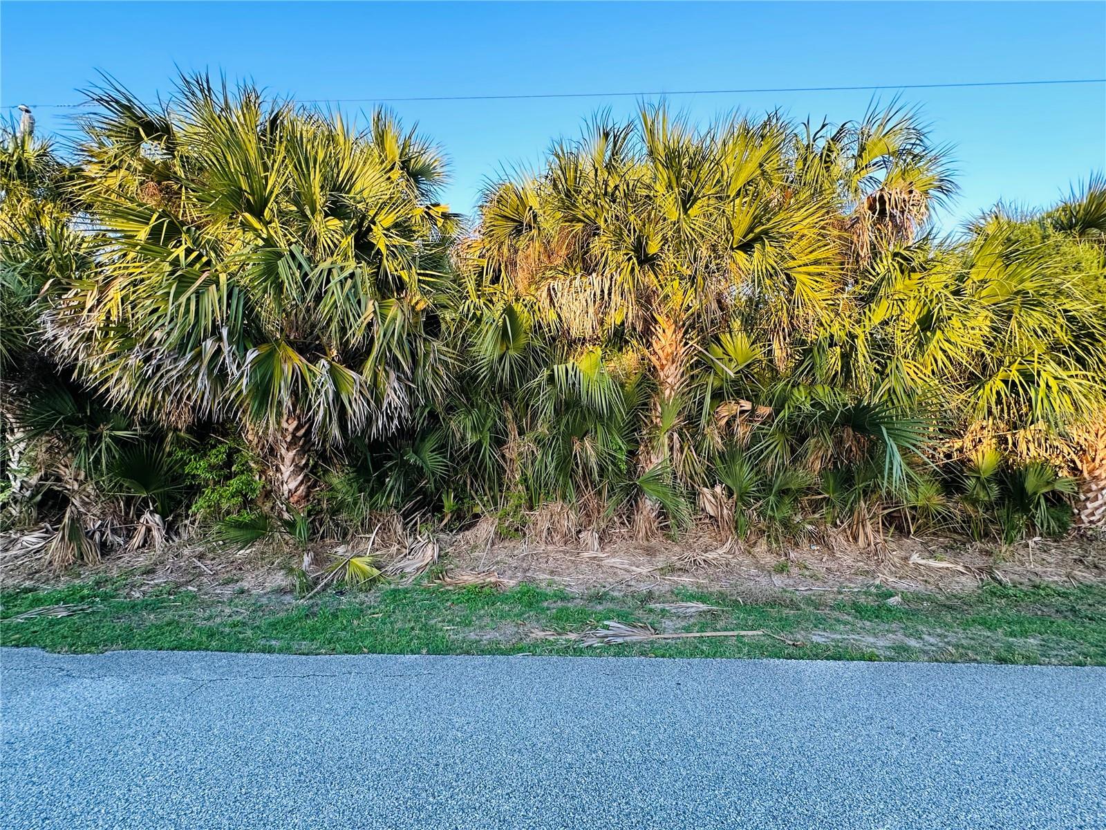 60 CORAL REEF COURT N