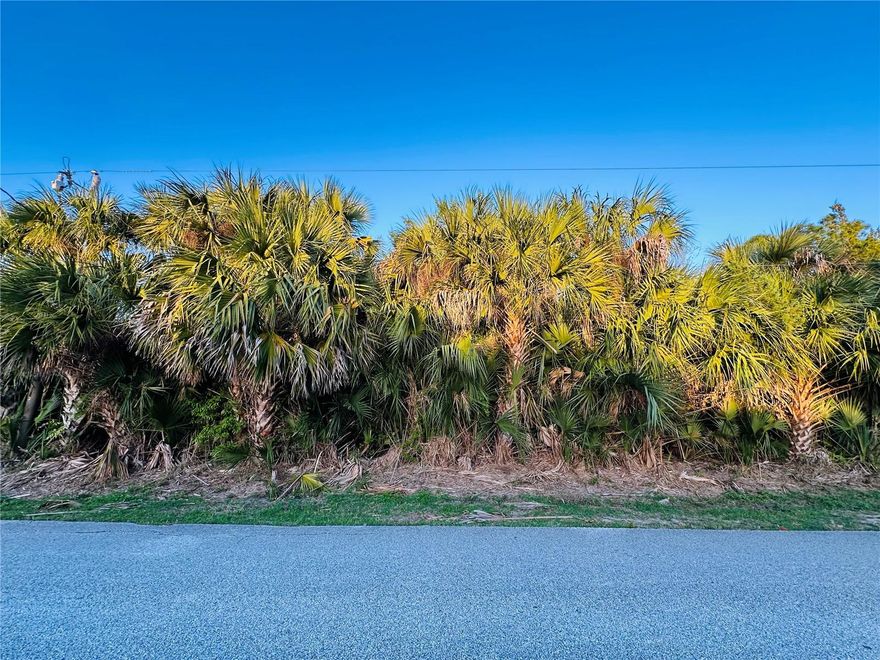 Prime duplex-zoned property in one of Palm Coast’s most desirable neighborhoods! 60 Coral Reef Ct N features an 80’ x 150’ (0.275-acre) lot perfect for a duplex, rental investment, or multigenerational living.
Walk to Matanzas High School, bike or walk along the scenic St. Joe Walkway bordering the Matanzas River or enjoy weekend entertainment at the nearby European Village with dining, live music, and a weekly farmers market. Drop a fishing line under the Hammock Dunes Bridge and enjoy being just 20 minutes from the Atlantic Ocean and Palm Coast’s pristine beaches.
A rare blend of lifestyle, recreation, and investment opportunity-don’t miss it!