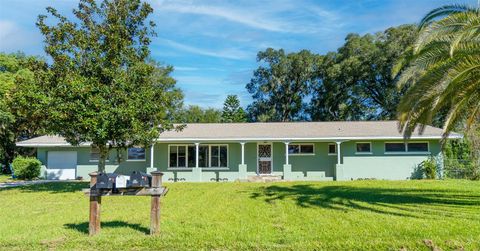 A home in DELAND