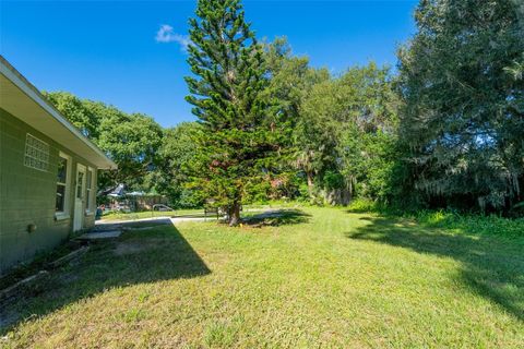 A home in DELAND