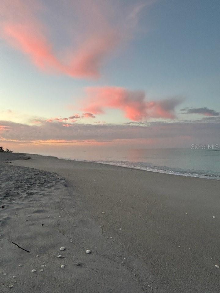 HIBISCUS POINTE PH 01-08 - Residential