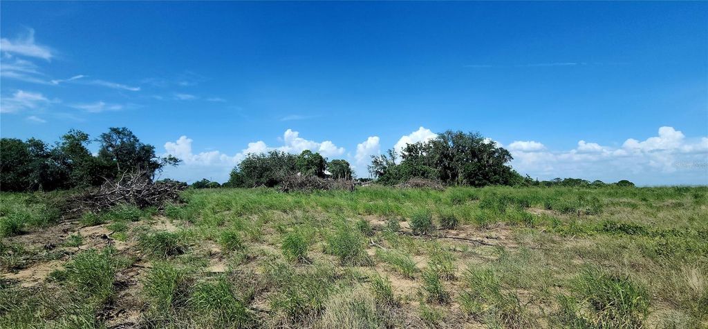 Photo of 790 Lake Lotela Drive, Avon Park, FL 33825 (MLS # P4935222)