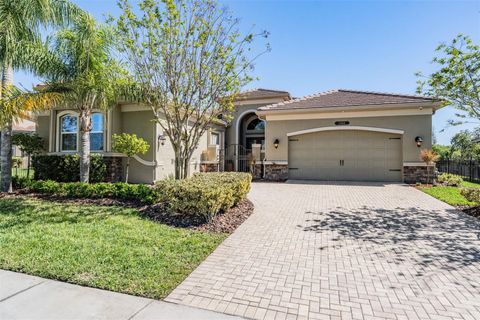 2468 COCO PALM CIRCLE WESLEY CHAPEL FL 33543