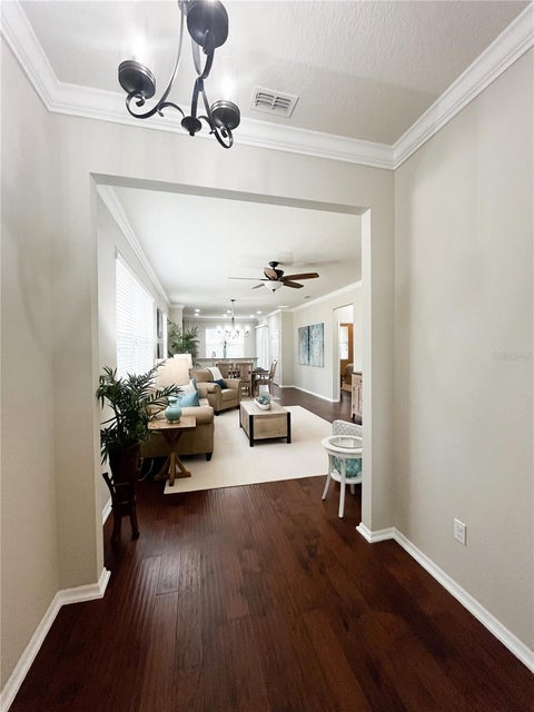 30348 Lipizzan Terrace, Mount Dora, FL 32757