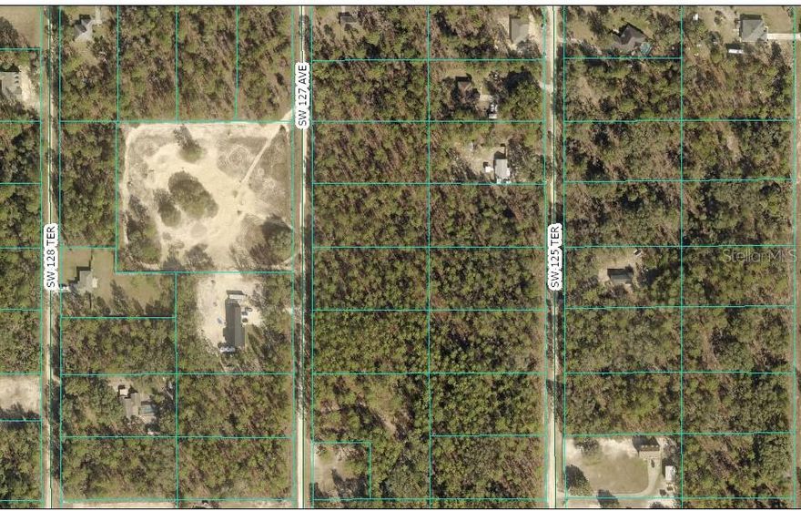 Located in the ever expanding and very desirable Rolling Hills in Dunnellon.  Minutes from World Equestrian Center and perfectly situated between Ocala and Dunnellon.  This 1.16 acre parcel is perfect to build your new dream home or mini farm.