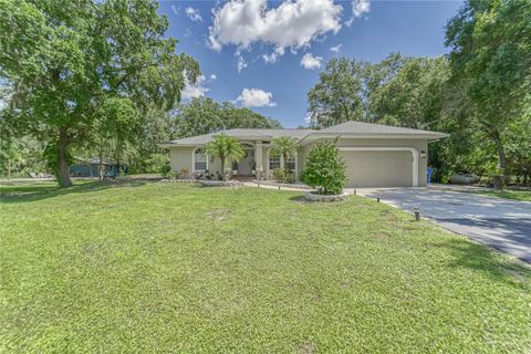 A home in WIMAUMA