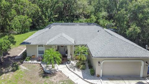 A home in WIMAUMA