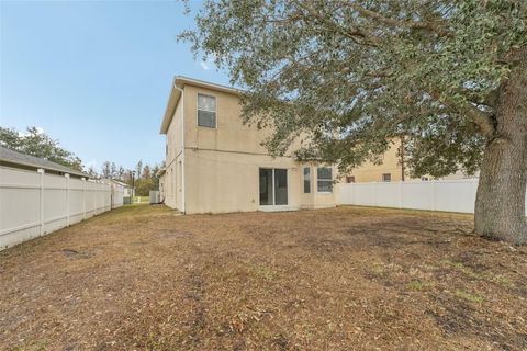 A home in LAND O LAKES