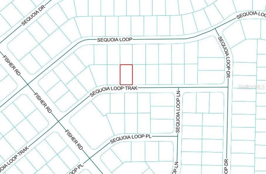 Stop dreaming and start building! This .23-acre vacant lot offers the perfect blank canvas for your custom home. Nestled in a prime location that balances peace and quiet with incredible accessibility, this property is the ultimate launchpad for the Florida lifestyle.

Location Highlights:
Centralized Living: Located perfectly between The Villages and Ocala, giving you the best of world-class dining, shopping, and entertainment in either direction.

Outdoor Paradise: Nature lovers rejoice! You are just minutes away from the Ocklawaha River and the stunning Lake Weir. Whether it’s boating, fishing, or a sunset dinner at Eaton’s Beach, your weekends are officially booked.

Freedom to Build: With nearly a quarter-acre of land, there is plenty of room for your dream floor plan, a spacious garage, or a lush backyard oasis.

Opportunities in this growing corridor are moving fast. Don’t let this one get away—bring your builder and your vision today!