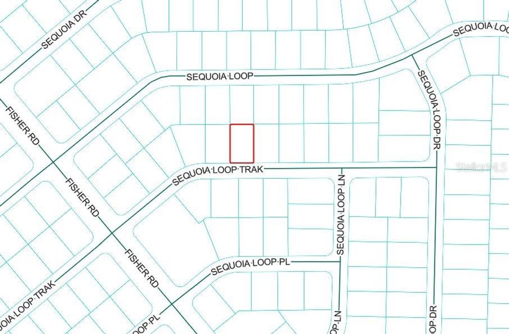 Photo of Sequoia Loop Track, Ocklawaha, FL 32179 (MLS # OM718544)