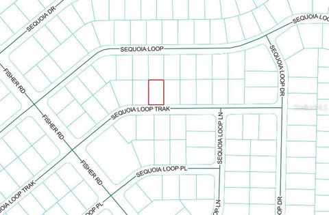 SEQUOIA LOOP TRACK OCKLAWAHA FL 32179