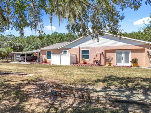 Tiny photo for 527 Sunnyside Drive, Leesburg, FL 34748 (MLS # O6347002)