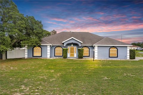 Photo of 10999 SW 47th Avenue, Ocala, FL 34476 (MLS # OM725861)