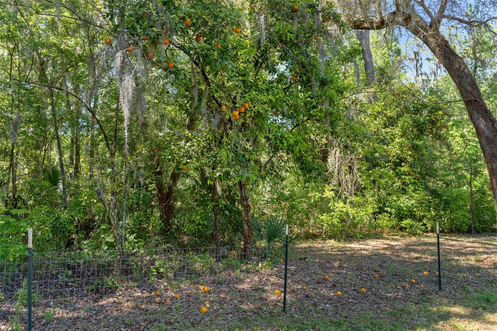 CEDAR FALLS PHASE I - Residential