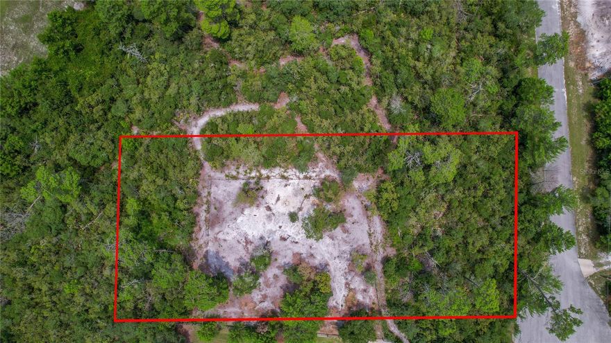 Welcome to the beautiful Royal Trails community in Eustis, Florida! We are thrilled to introduce an extraordinary chance to acquire a stunning lot in this highly sought-after neighborhood, allowing up to 2 horses per acre. Nestled in a tranquil and picturesque environment, this expansive lot provides the perfect foundation for your dream home. With its ample size, you'll have abundant space to create your own private sanctuary, whether it be an expansive estate, a charming cottage, or a modern masterpiece! Renowned for its serene ambiance and natural surroundings, the Royal Trails community is an ideal choice for those yearning for a peaceful lifestyle. Imagine waking up to the delightful melodies of chirping birds and savoring breathtaking views of mature trees and lush greenery right outside your doorstep! As a resident of Royal Trails you will enjoy access to an array of amenities designed to enrich your quality of life. Take pleasure in the deeded access to Lake Norris and the community park, complete with a playground and picnic area, perfect for family gatherings and recreational activities. Additionally, scenic trails await, ideal for hiking, horseback riding, biking, or simple leisurely strolls amidst nature's splendor. Eustis Florida, offers a charming small-town atmosphere while providing easy access to modern conveniences! Just a short drive away you will discover a variety of shopping, dining, and entertainment options. The community also boasts proximity to numerous lakes, rivers, and nature reserves, catering to outdoor enthusiasts seeking adventure or those looking to settle down in a rural setting. Don't let this incredible opportunity pass you by!