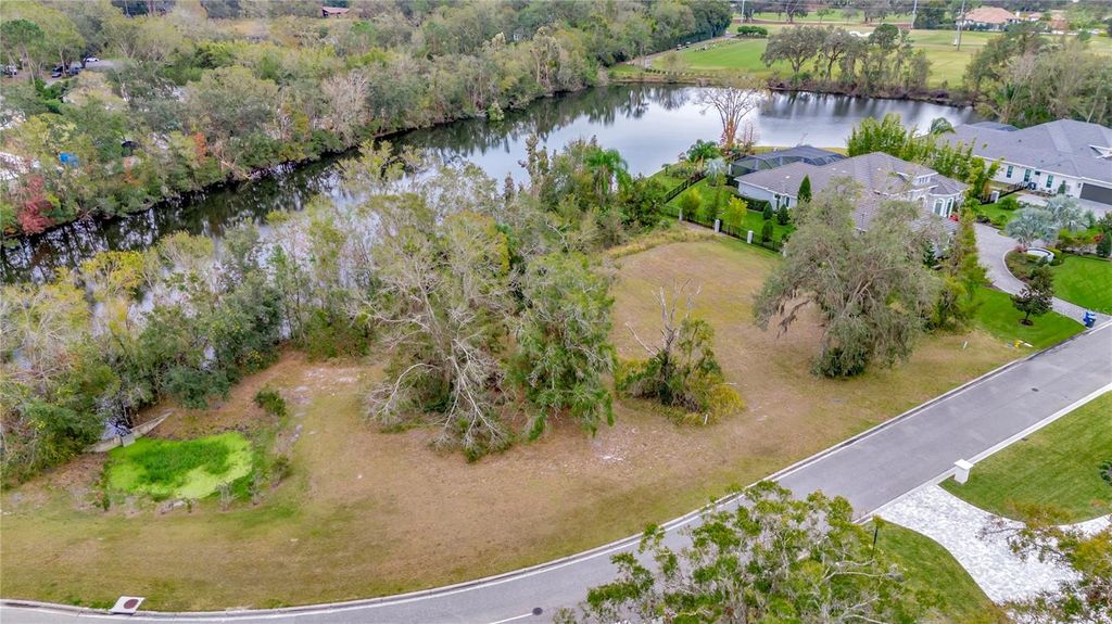 Photo of 17041 Comunidad De Avila, Lutz, FL 33548 (MLS # TB8340534)