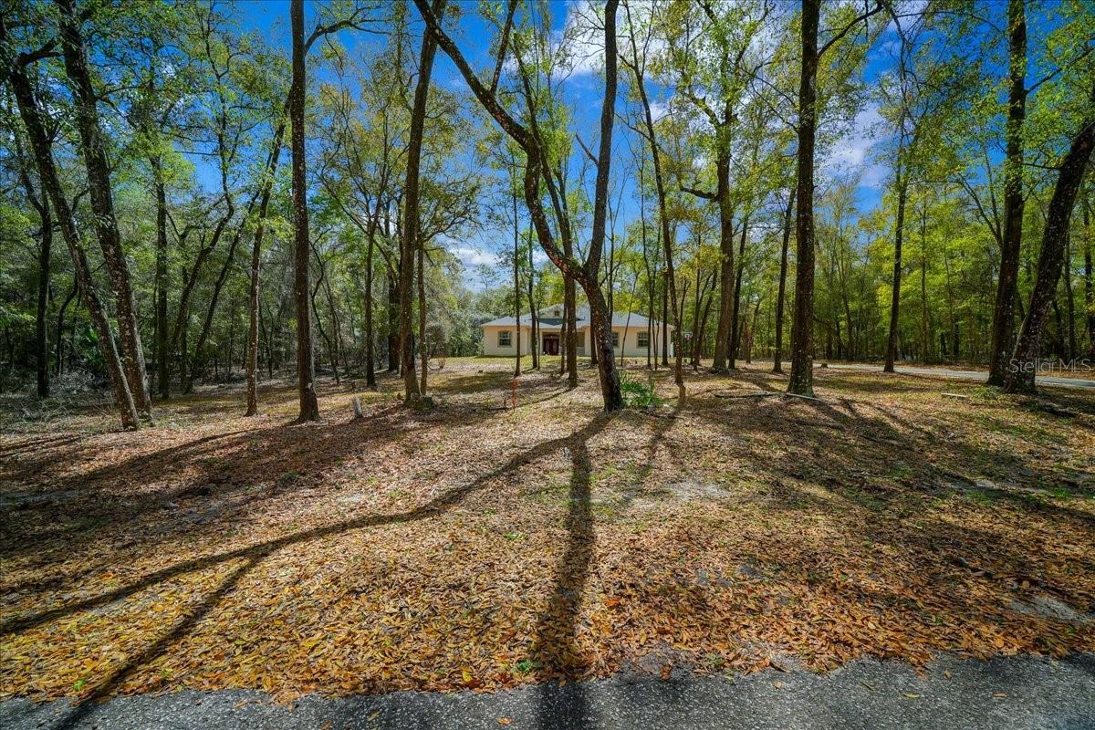 RAINBOW SPGS - Residential