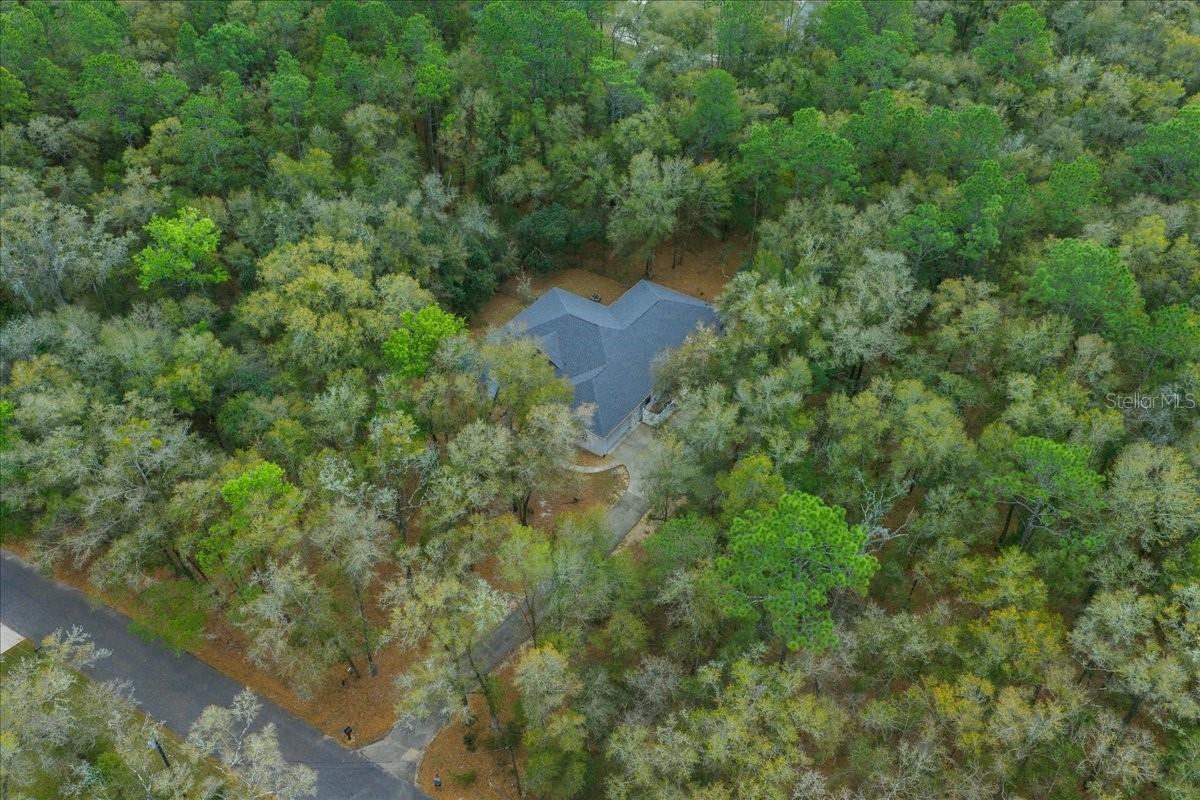 RAINBOW SPGS - Residential