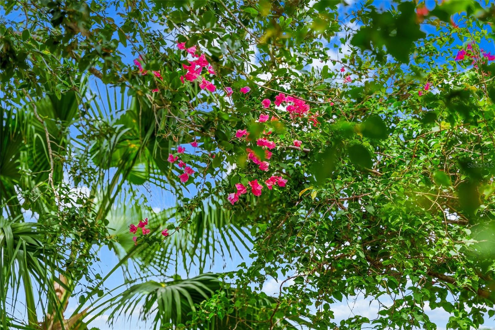 LACANTERA - Residential