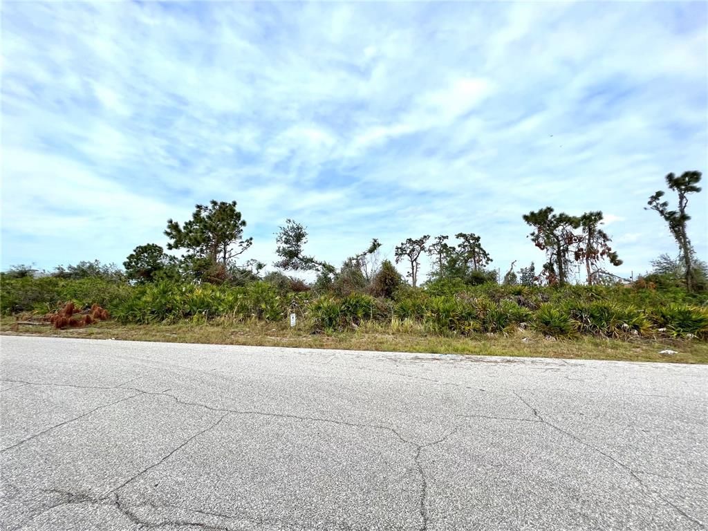Photo of 12324 Hathaway Terrace, Port Charlotte, FL 33981 (MLS # A4555119)