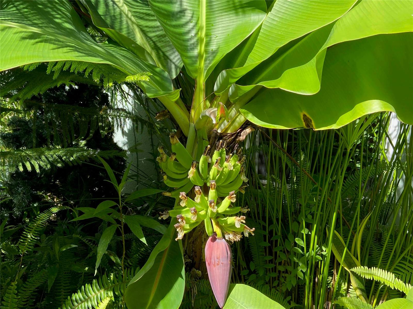 Ragis Acres South Prcl H - Residential