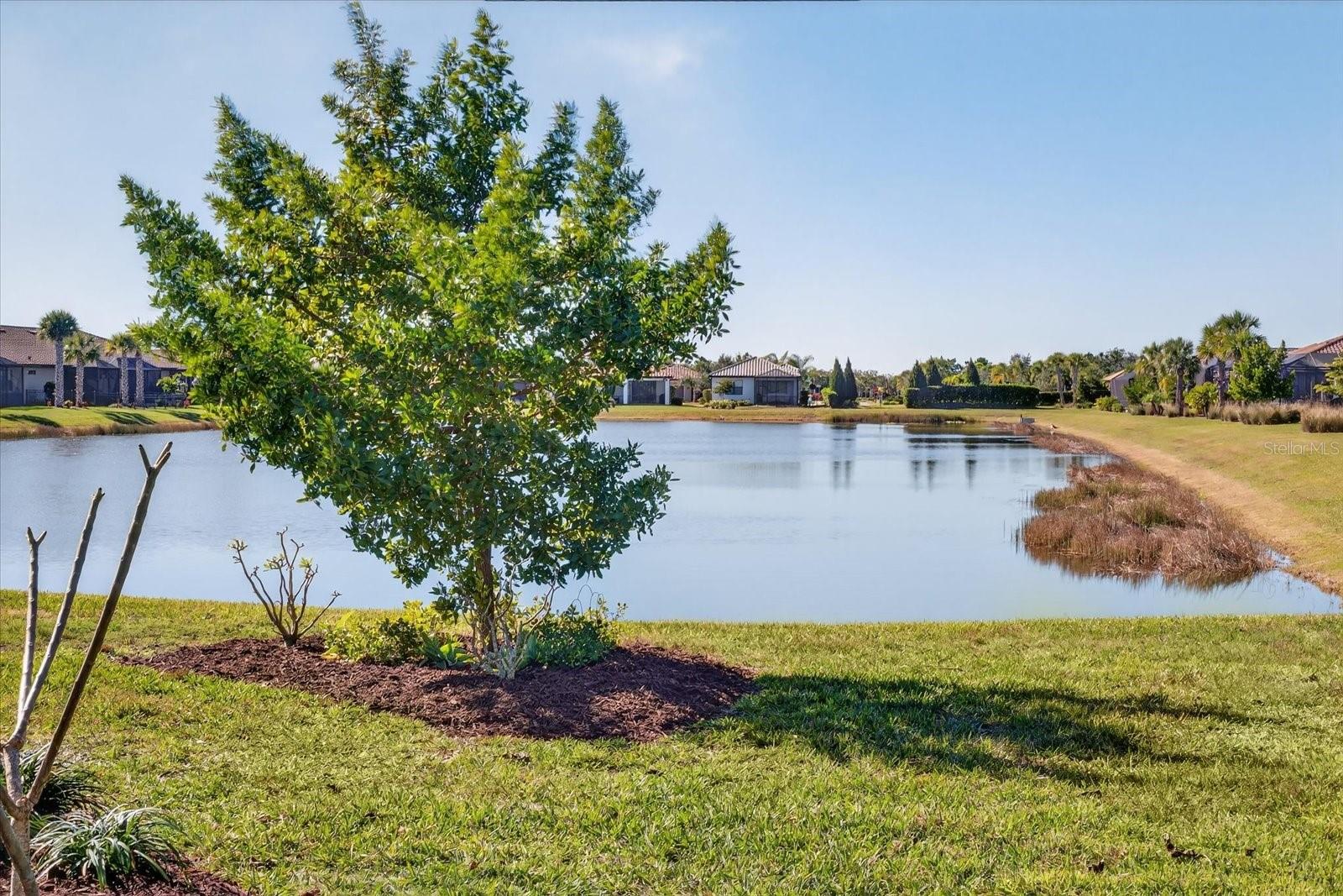 DEL WEBB LAKEWOOD RANCH - Residential