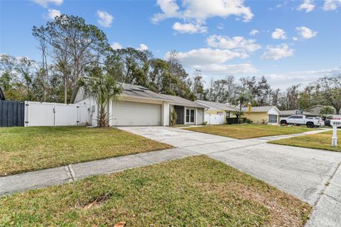 A home in TAMPA