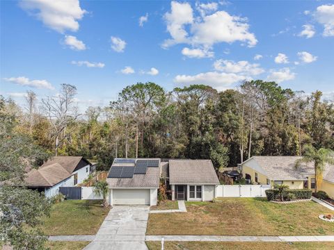 A home in TAMPA