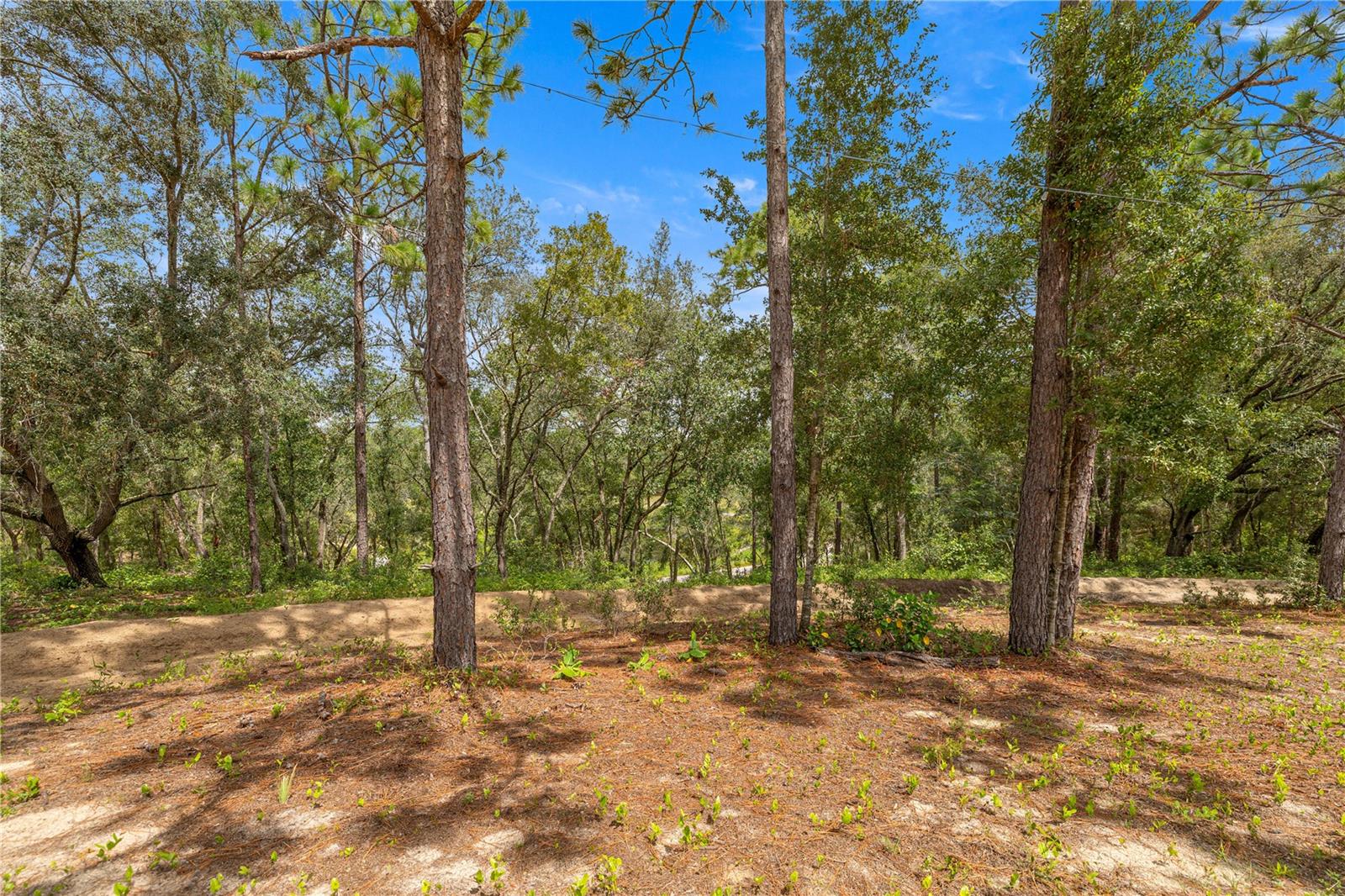 TWIN LAKES RANCHETTES - Residential