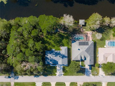 A home in PALM COAST