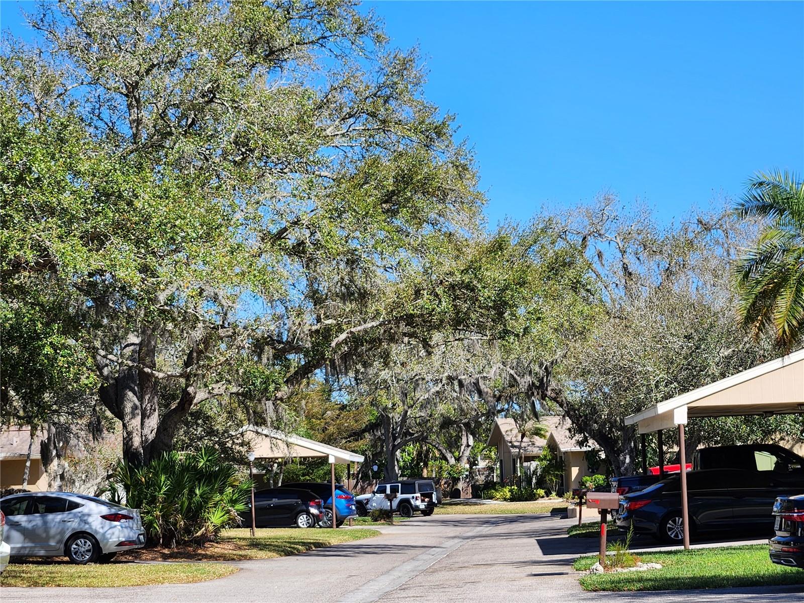 TALLYWOOD PH 1 & 2 - Residential