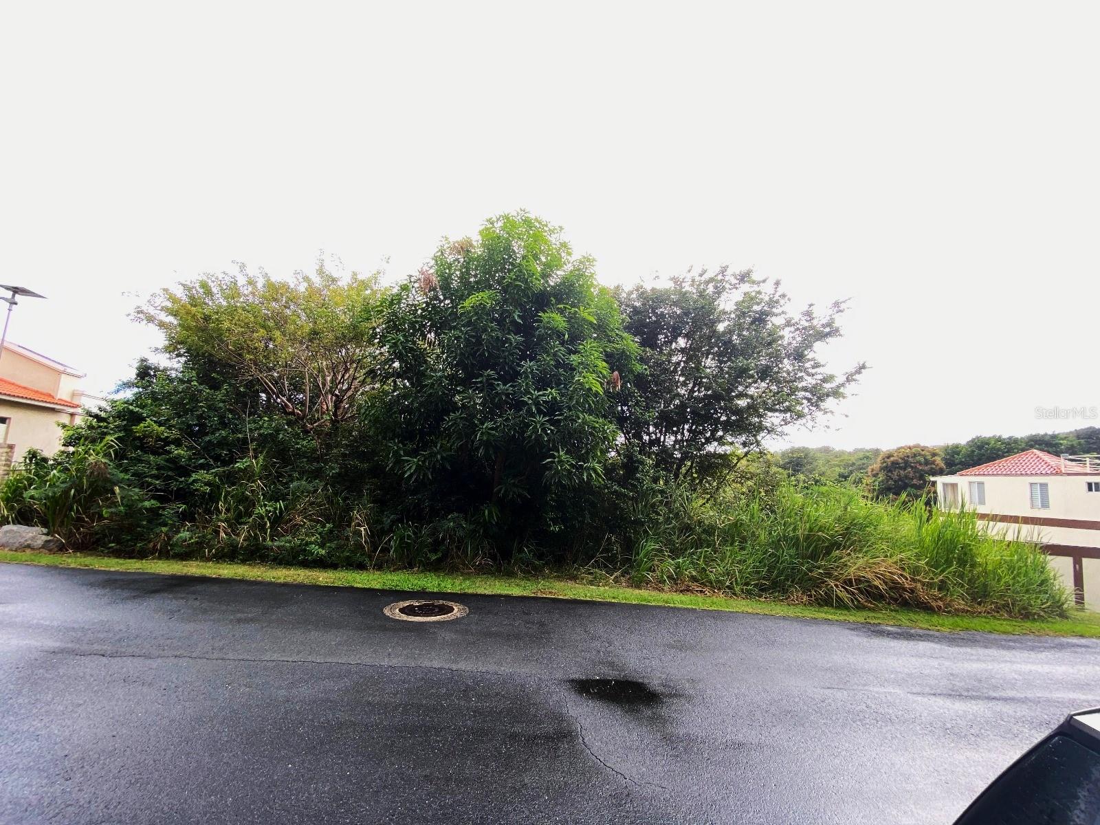 PALMAS DEL MAR - Land