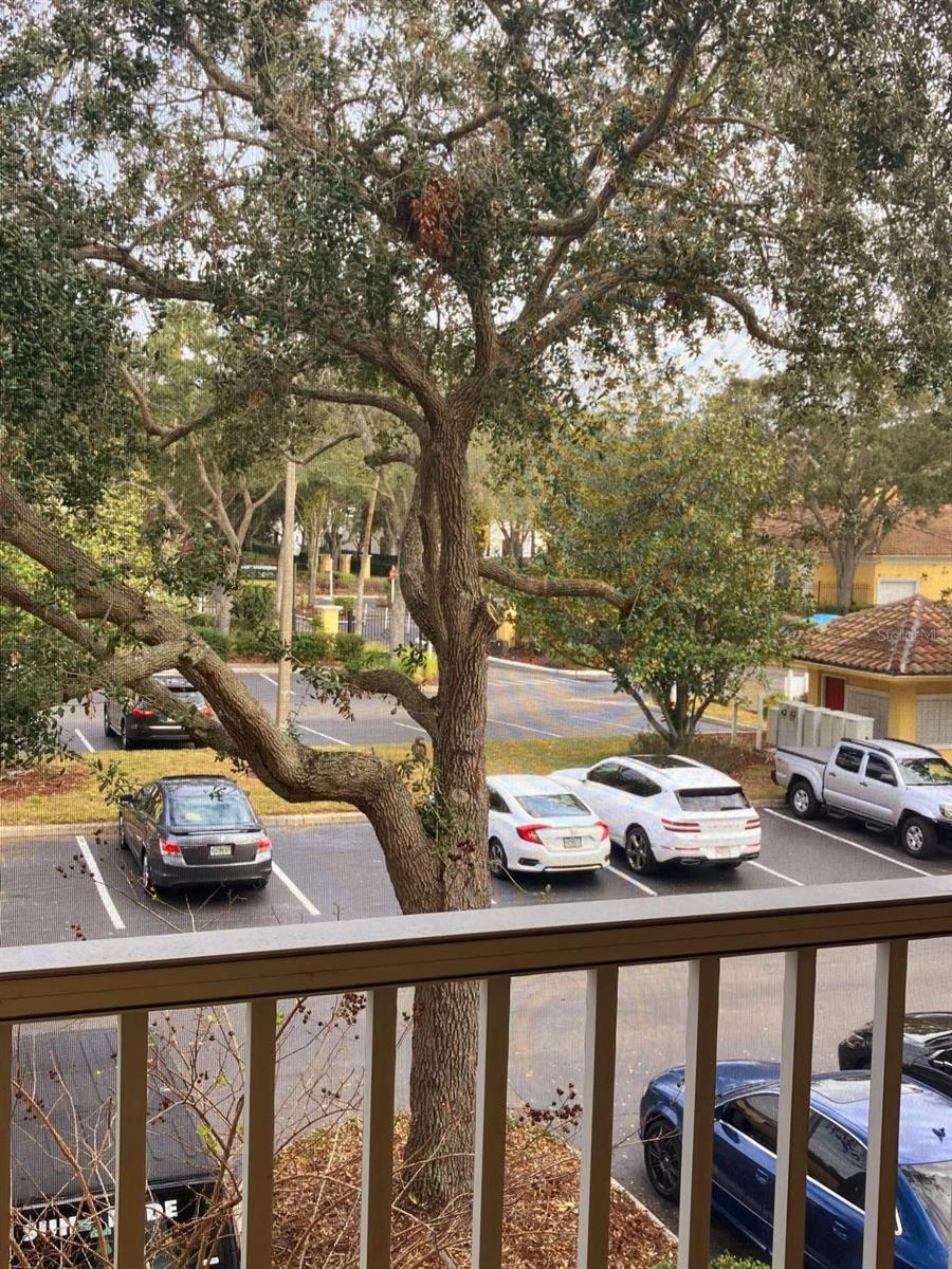 VISCONTI WEST - Residential Lease