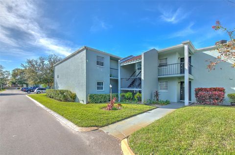 A home in TAMPA