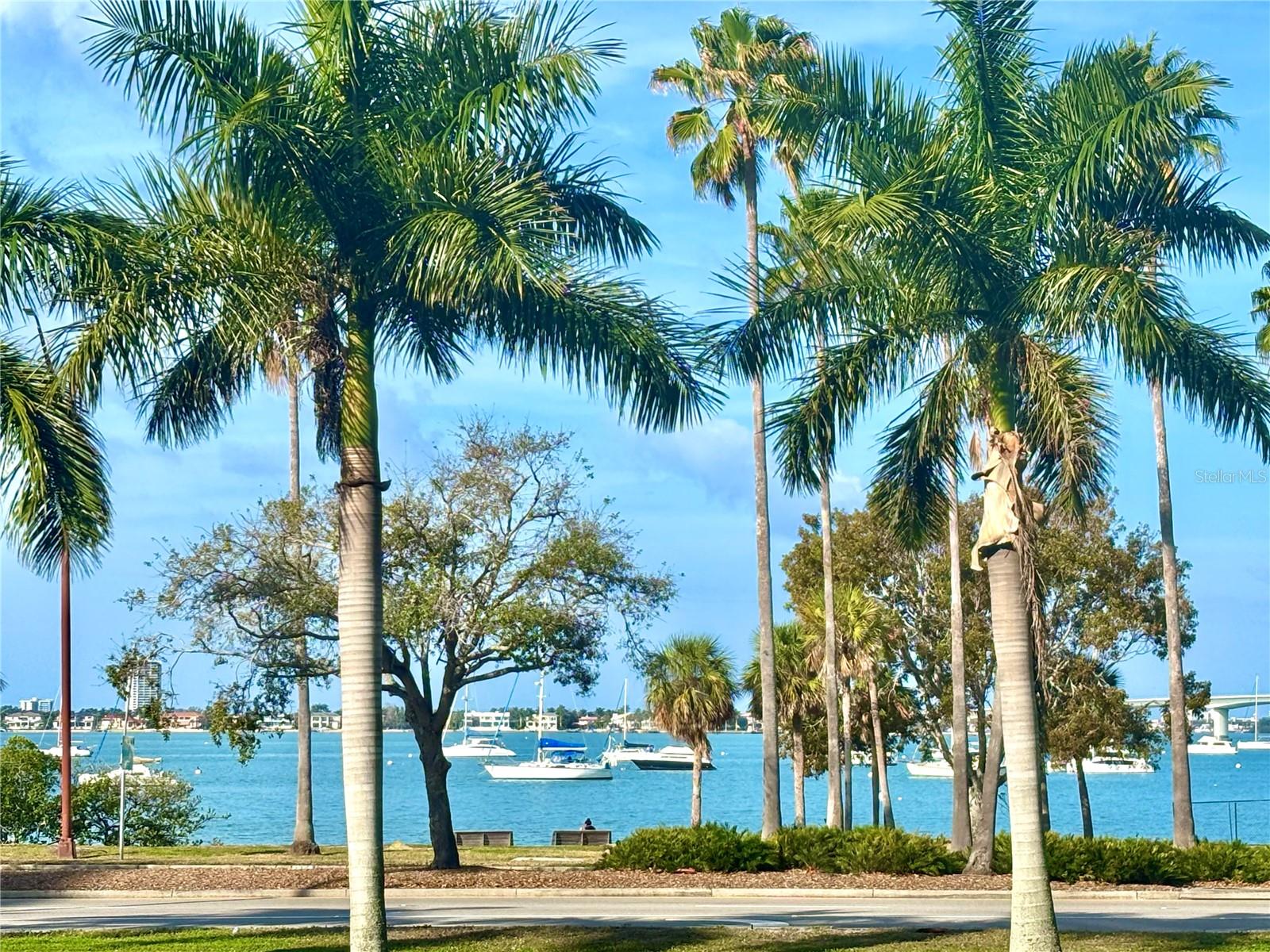 ESSEX HOUSE - Residential