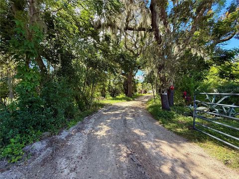 696 N SUNSET DRIVE MOUNT DORA FL 32757