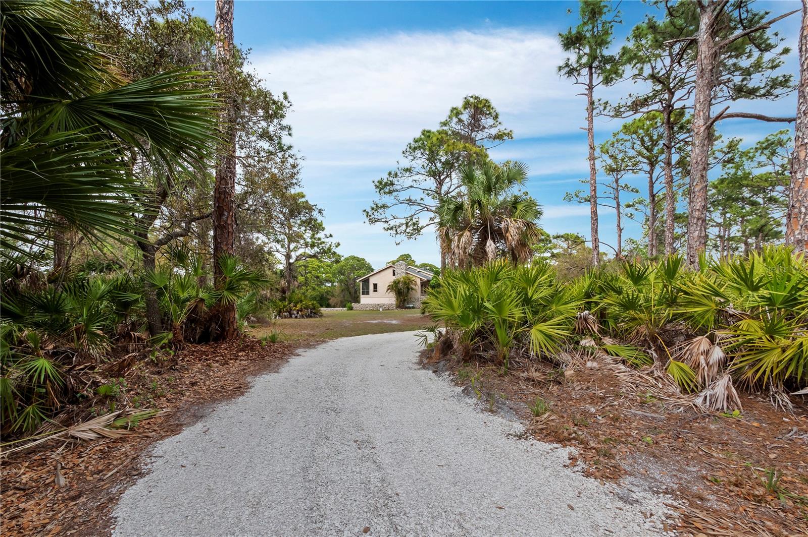 233 SNYDER DRIVE