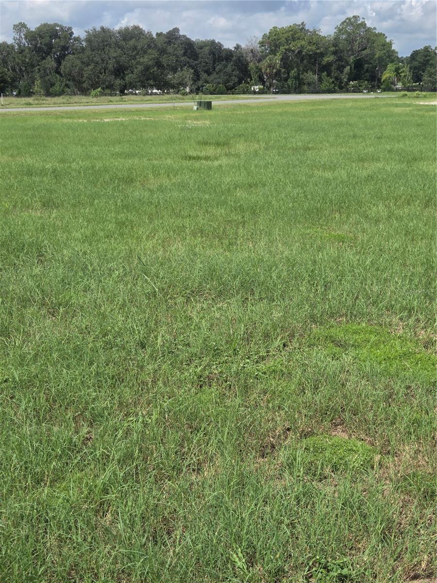 SHORELINE RANCH - Land