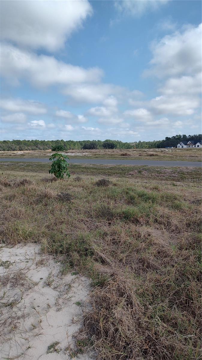 SHORELINE RANCH - Land