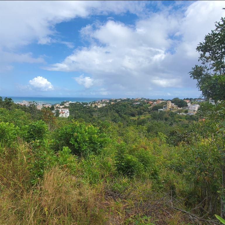 Harbour Lights Lot #36, a stunning half-acre gem, is located within the esteemed Harbour Lights Estates gated community in Palmas del Mar resort, Humacao, Puerto Rico. This parcel boasts sweeping vistas that encompass the Palmas del Mar resort, the Caribbean Sea, and the Island of Vieques.
Perfectly situated for convenience, Lot #36 offers seamless access to a myriad of activities and amenities, including golf, tennis, beach clubs, restaurants, and a casino. With electric, water and sewer available and adjacent to a well-maintained road this lot is prime for effortless future development.
Adjacent to Lots #37 and #38, also available for purchase, this lot presents a rare opportunity to acquire one or both of the neighboring properties, creating a sprawling estate of up to 1.5 acres.